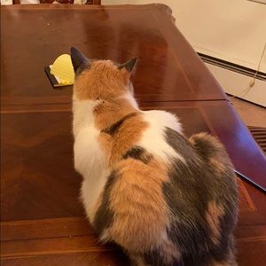 Meet your Posher, Mary